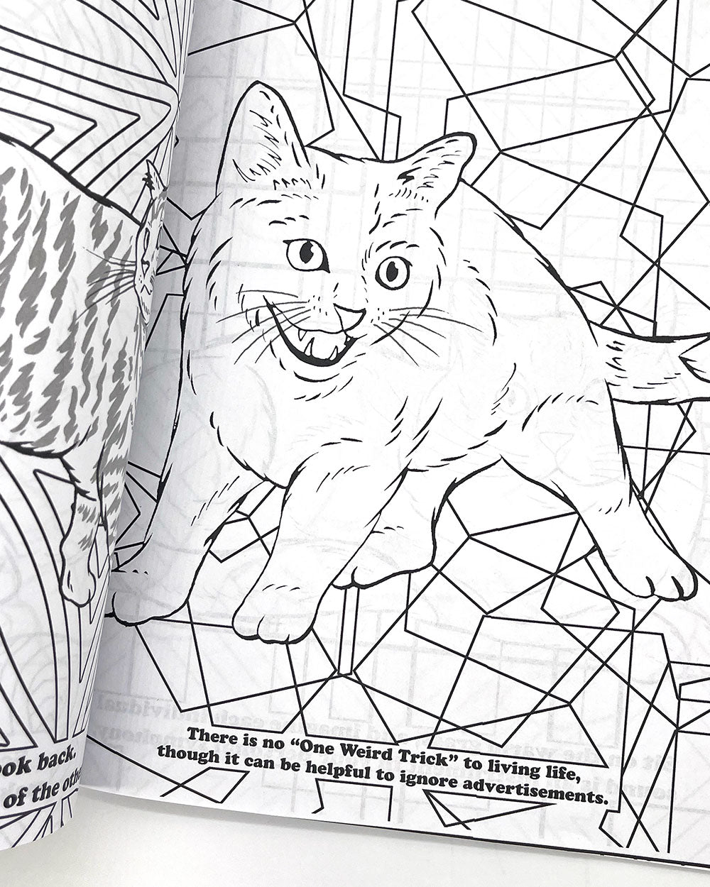 Depression Cats Coloring Book for Adults - Stress Relief & Anxiety Therapy | Relaxing Art Therapy for Mental Wellness & Mindfulness