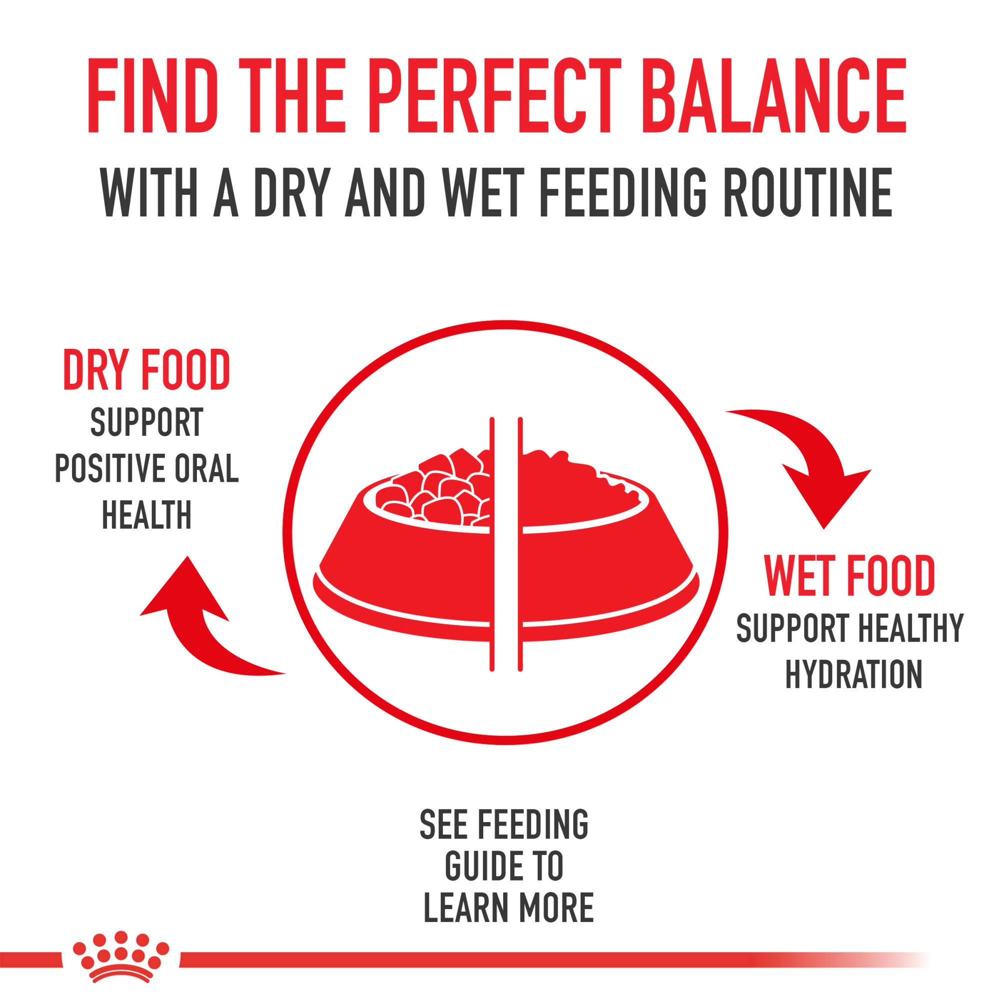 Royal Canin Small Adult 8+ Dry Dog Food for Senior Small Breed Dogs - 13 lb Bag - Supports Joint Health & Digestion - Perfect for Aging Small Dogs at Home or Travel