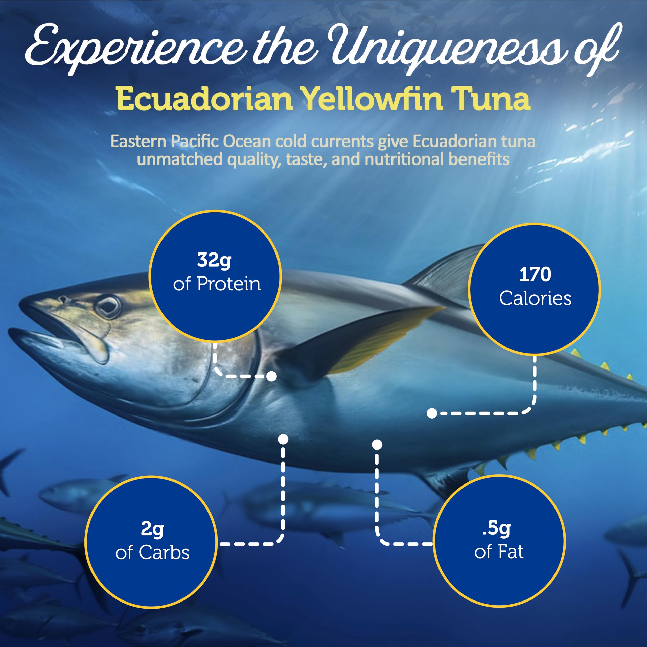 Premium Yellowfin Tuna Fillets in Spring Water - High Protein Mediterranean Diet Seafood | Ready-to-Eat Pescatarian Snacks | Glass Jar Packed Atun for Salads, Sandwiches & Keto Meals (6 Pack) | Healthy On-The-Go Lunch & Office Snack Option