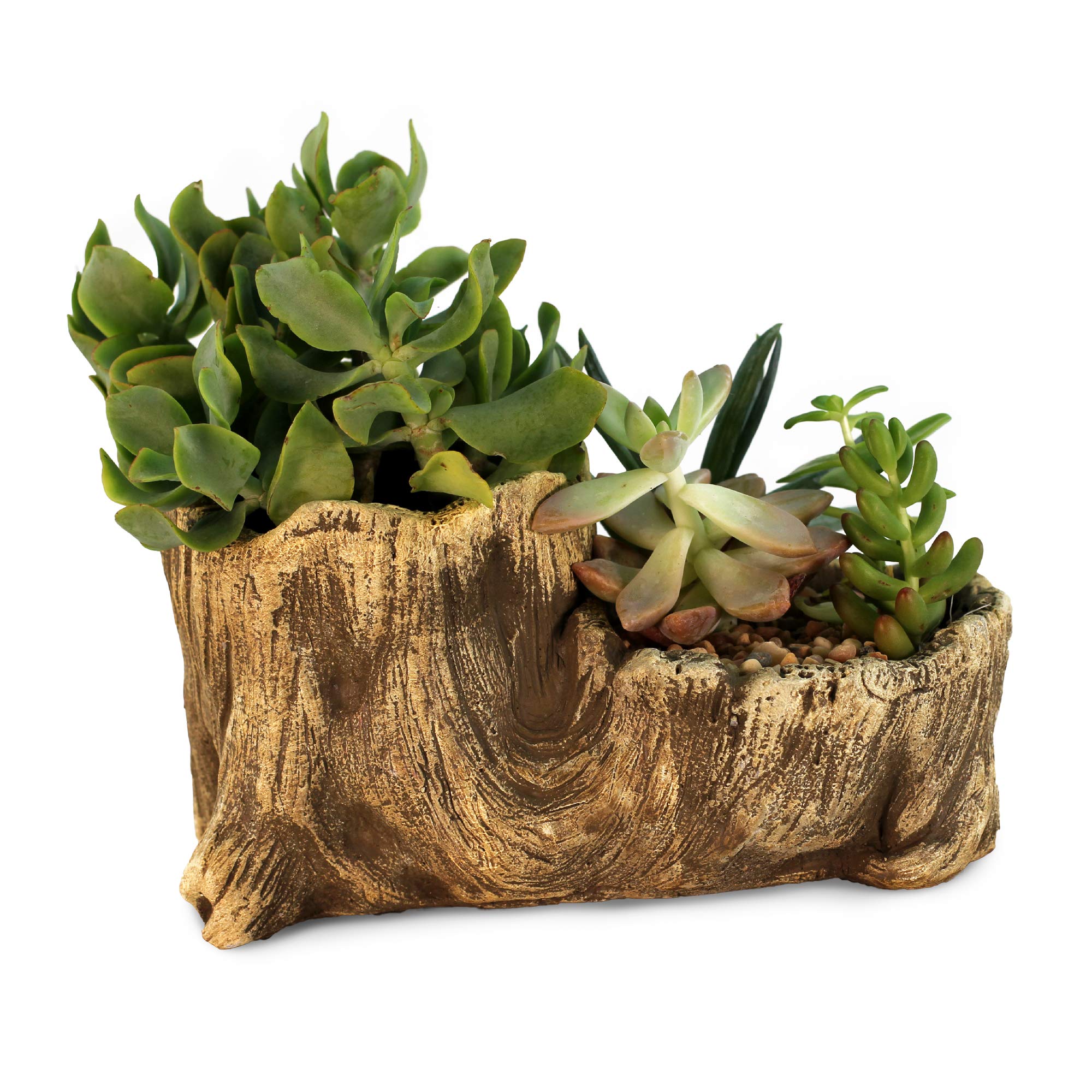 Ceramic Wood Plant Pot - Indoor Wood Planter with Unique Log Design for Succulents, Flowers & Small Plants | Perfect for Home Decor, Office Desk & Gift Giving (Driftwood Boot Style)