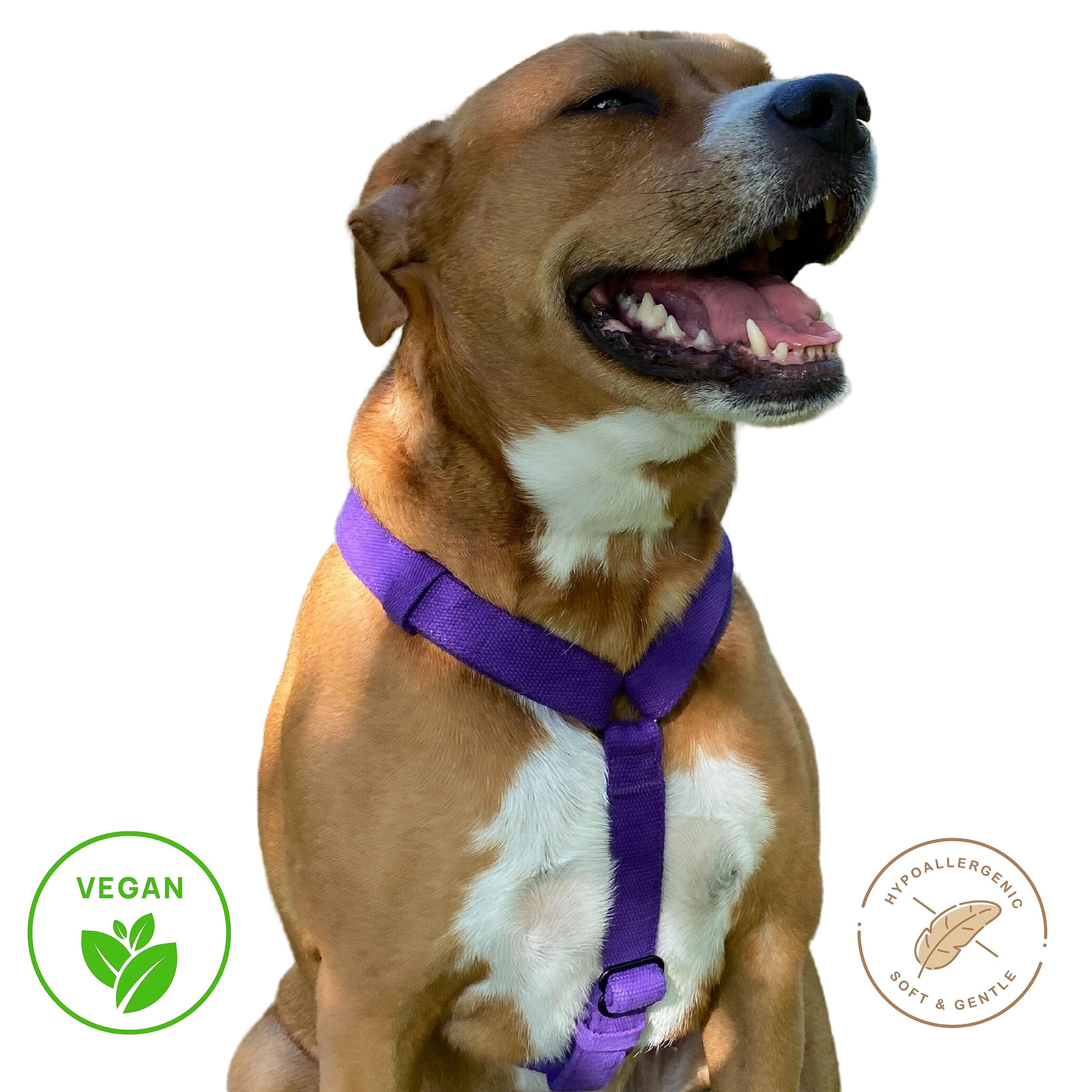 Premium Soft Hypoallergenic Organic Hemp Dog Harness - Adjustable for Small, Medium & Large Dogs | Comfortable & Durable Puppy Harness (Blue) | Perfect for Walking, Training & Outdoor Adventures