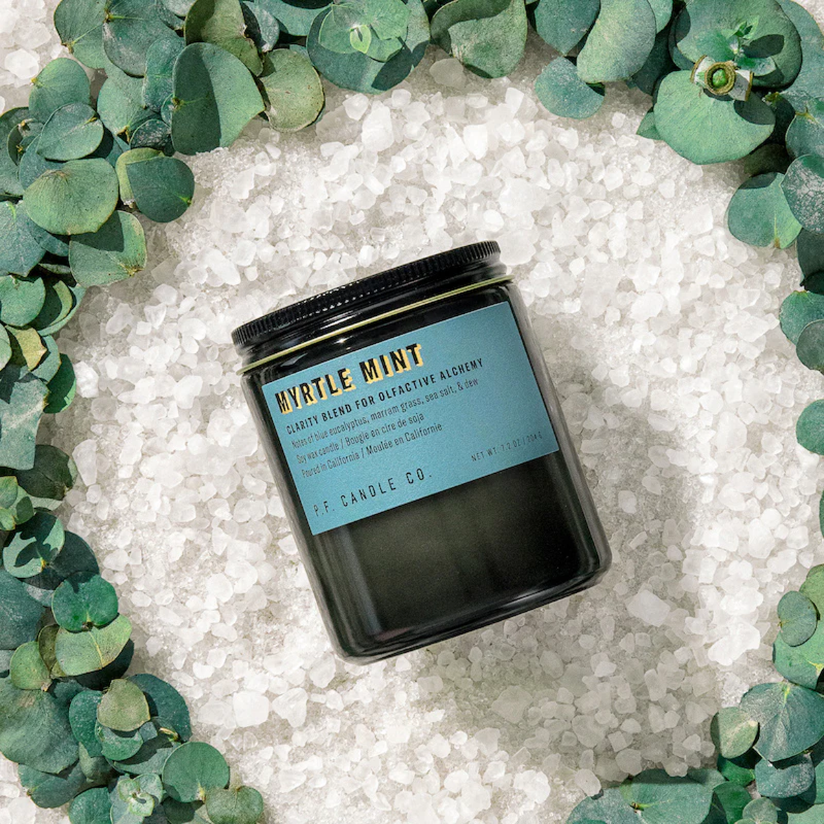 Alchemy Myrtle Mint Scented Candle - 7.2oz Natural Soy Wax Aromatherapy Candle for Relaxation, Meditation & Home Decor | Perfect for Bedroom, Bathroom & Living Room