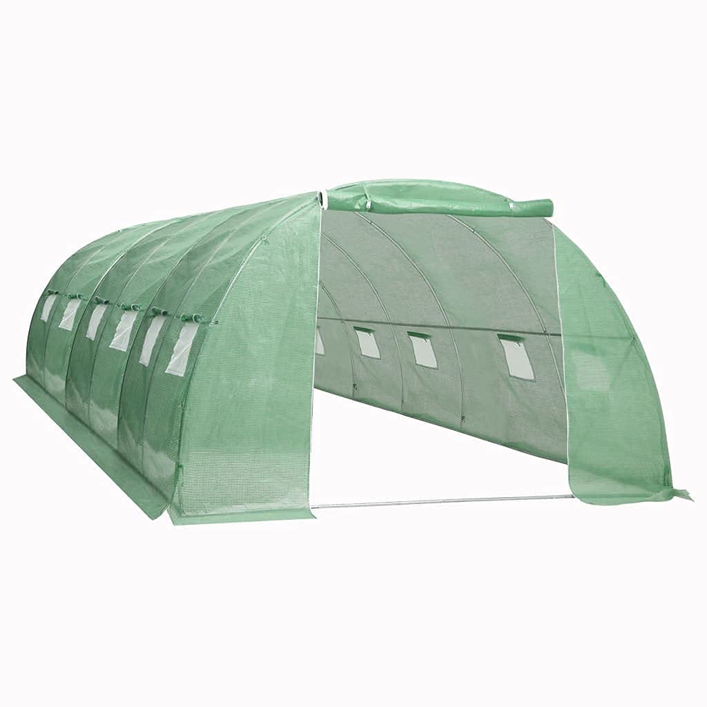 Walk-in Greenhouse Tent 258.3 ft² (236.2