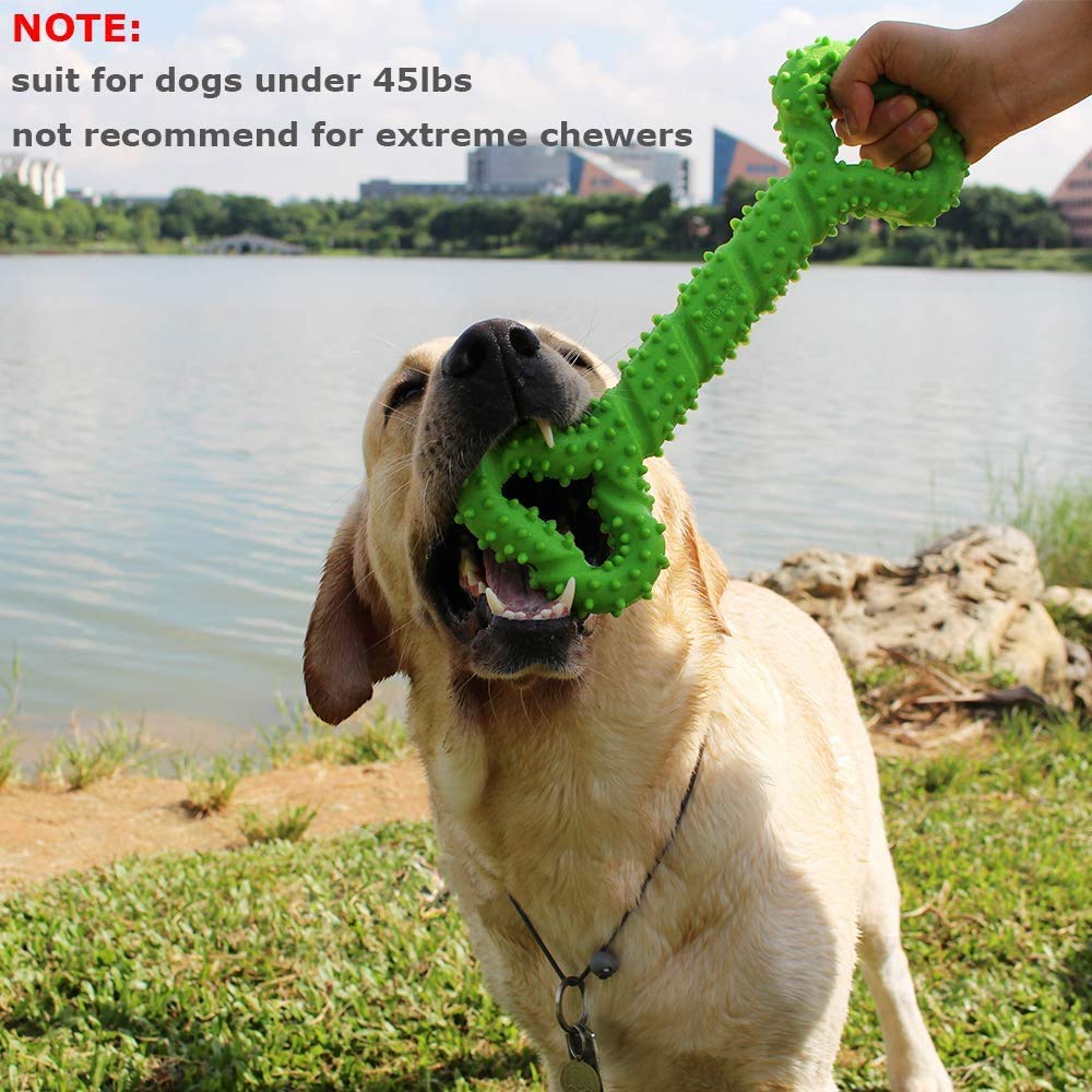 Durable 13-Inch Extra Large Dog Chew Bone Toy - Strong Tug Toy for Aggressive Chewers, Medium & Large Dogs - Promotes Dental Health & Teeth Cleaning - Perfect for Playtime, Training & Outdoor Activities