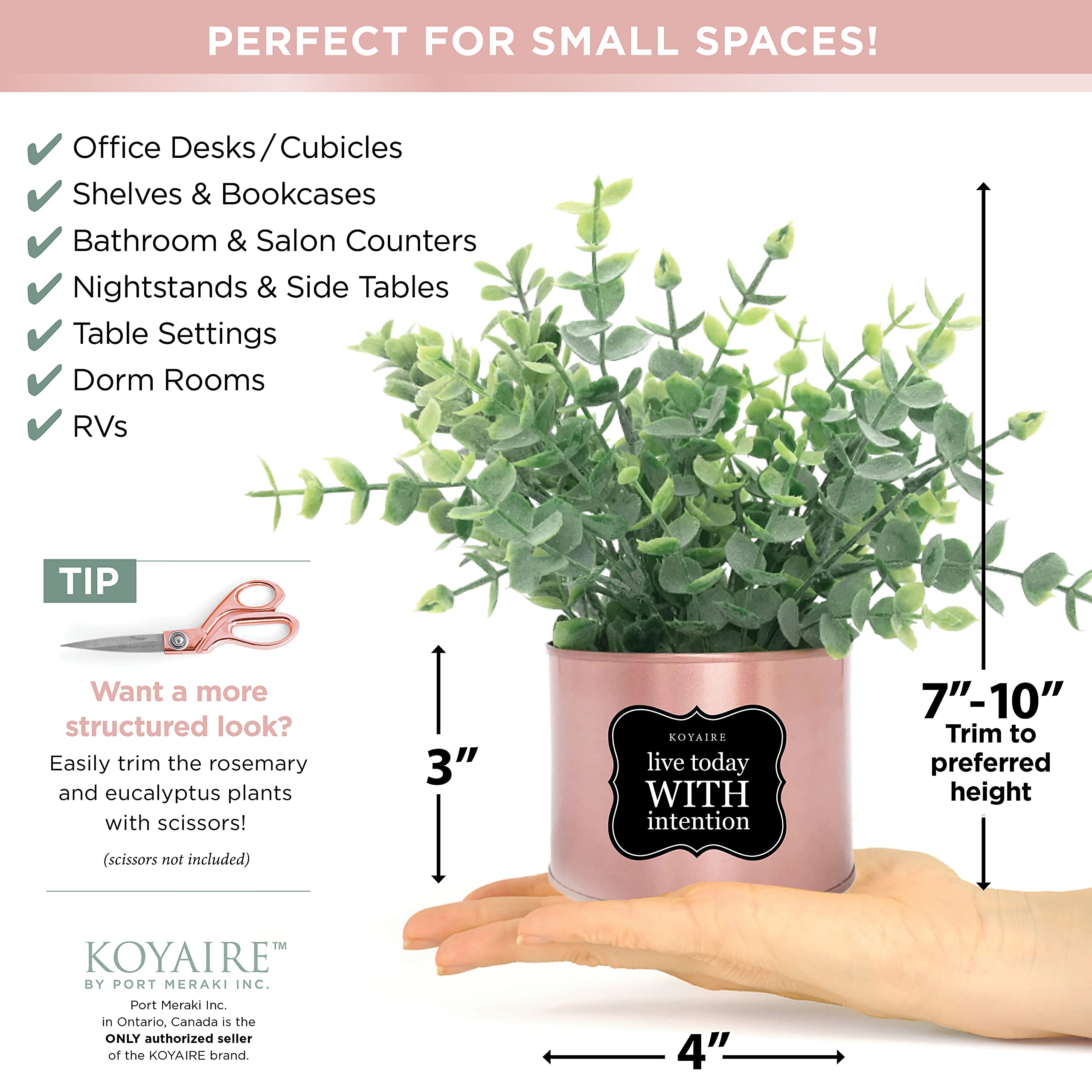 3 Motivational Faux Plants for Desk - Rose Gold Office Decor - Small Home & Office Accessories - Pink Desk Decorations - Perfect for Workspace, Home Office & Gift Giving