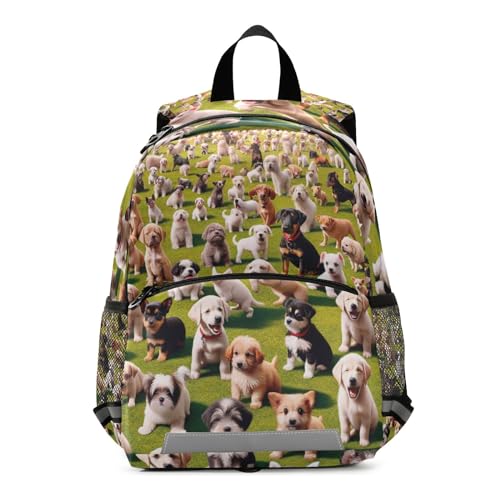 Pooping Dogs Funny