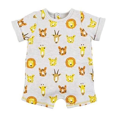 Safari