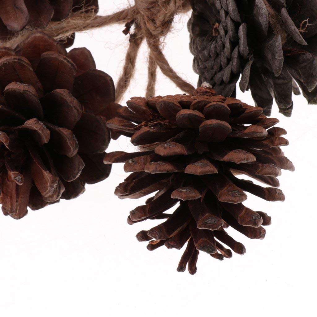Natural Pine Cone Chewing Bird Toys - Safe Wooden Perches for Parrots, Cockatiels & Conures | Perfect for Cage Enrichment & Beak Trimming