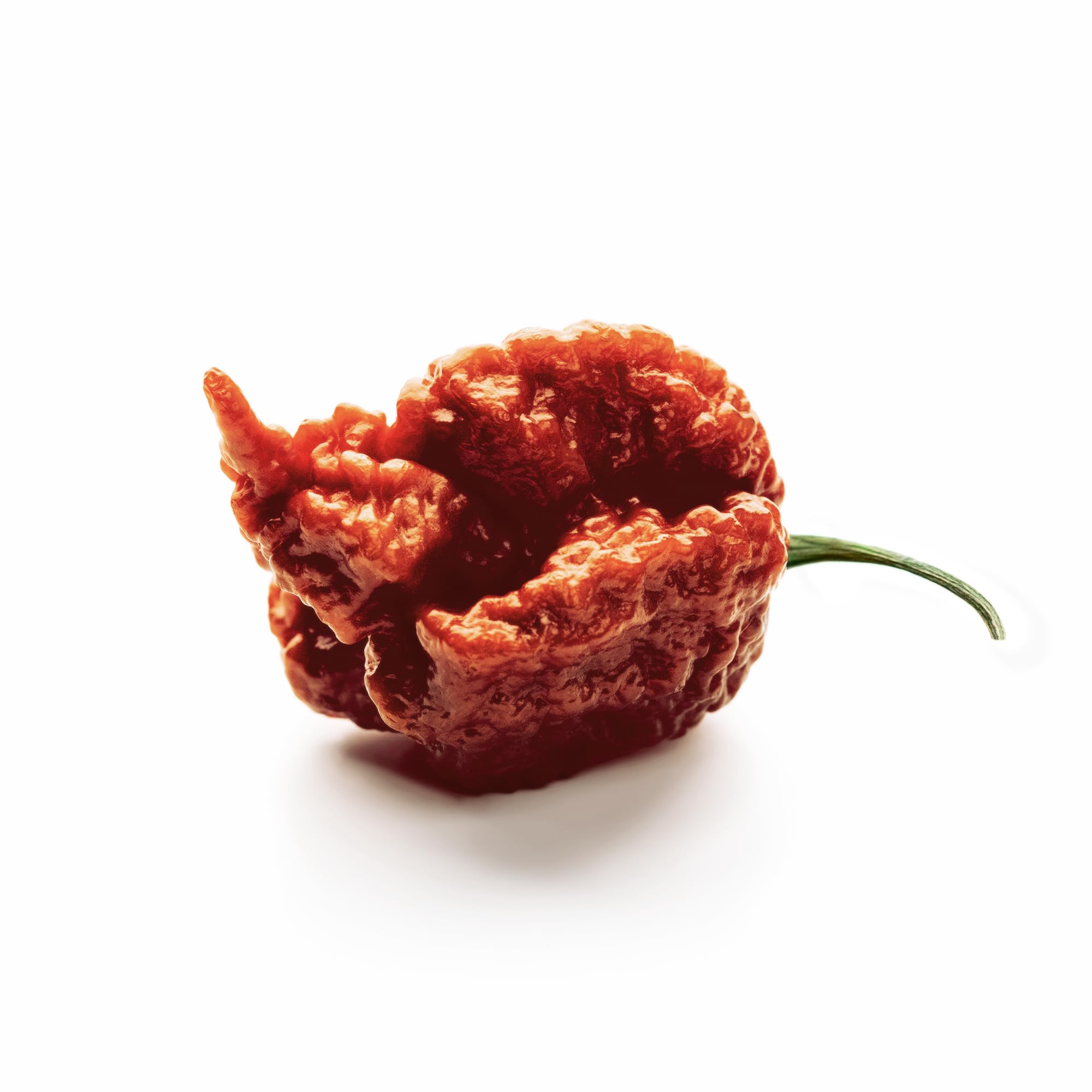 Authentic Whole Dried Carolina Reaper Peppers - World's Hottest Chili (50 Count) - Perfect for Hot Sauce Making, Spicy Cooking & Chili Challenges