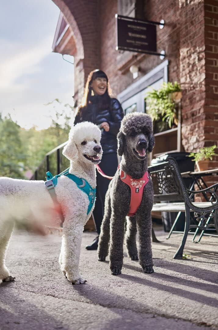 Hurtta Weekend Warrior Dog Harness - Adjustable No-Pull Vest for Medium & Large Dogs (24-32 inch Chest) - Reflective & Padded for Comfort - Perfect for Hiking, Running & Outdoor Adventures