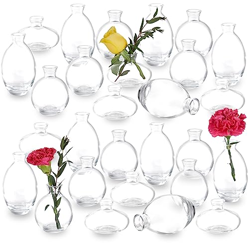 Clear Set of 28