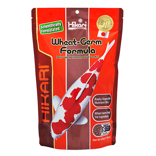 Premium Hikari Koi Wheat Germ Floating Fish Food Pellets - High Protein Diet for Healthy Koi & Goldfish - Ideal for Outdoor Ponds & Water Gardens