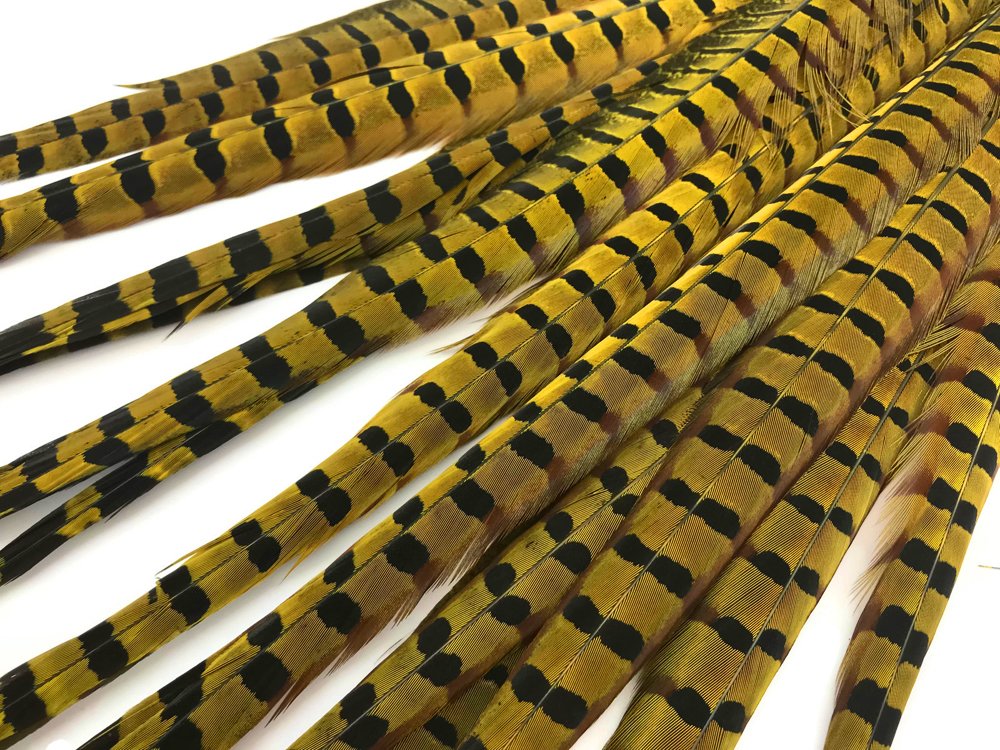 50 Pieces Natural Long Ringneck Pheasant Tail Feathers - Yellow Dyed Bulk Wholesale (18-22