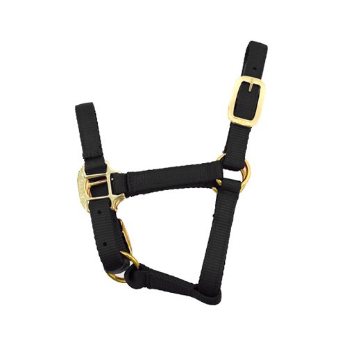 Rose America 40548 BMB Classic Yearling Halter - Black | Durable Foal Halter for Young Horses | Perfect for Training, Shows & Daily Handling