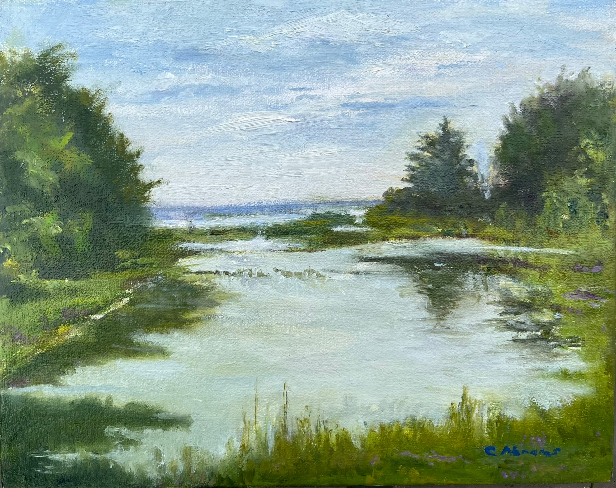 Celia Abrams: Little Egg Harbor Gem - Perfect for Home Decor, Gifts, and Coastal Living Inspiration