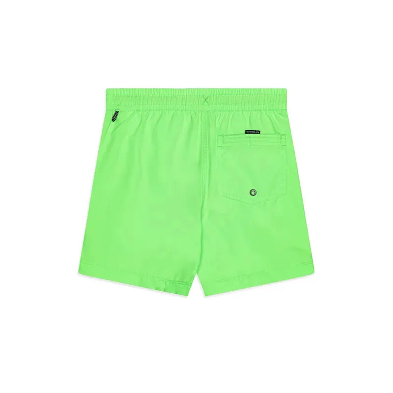 Quiksilver TB Essentials Elastic Volley 17 Lima Pastel Mesh Shorts - Comfortable & Stylish for Beach Volleyball, Surfing & Casual Wear