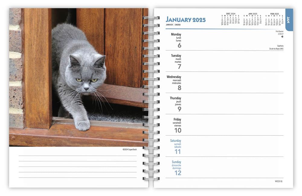 2025 Weekly Planner Calendar for Cat Lovers - 6