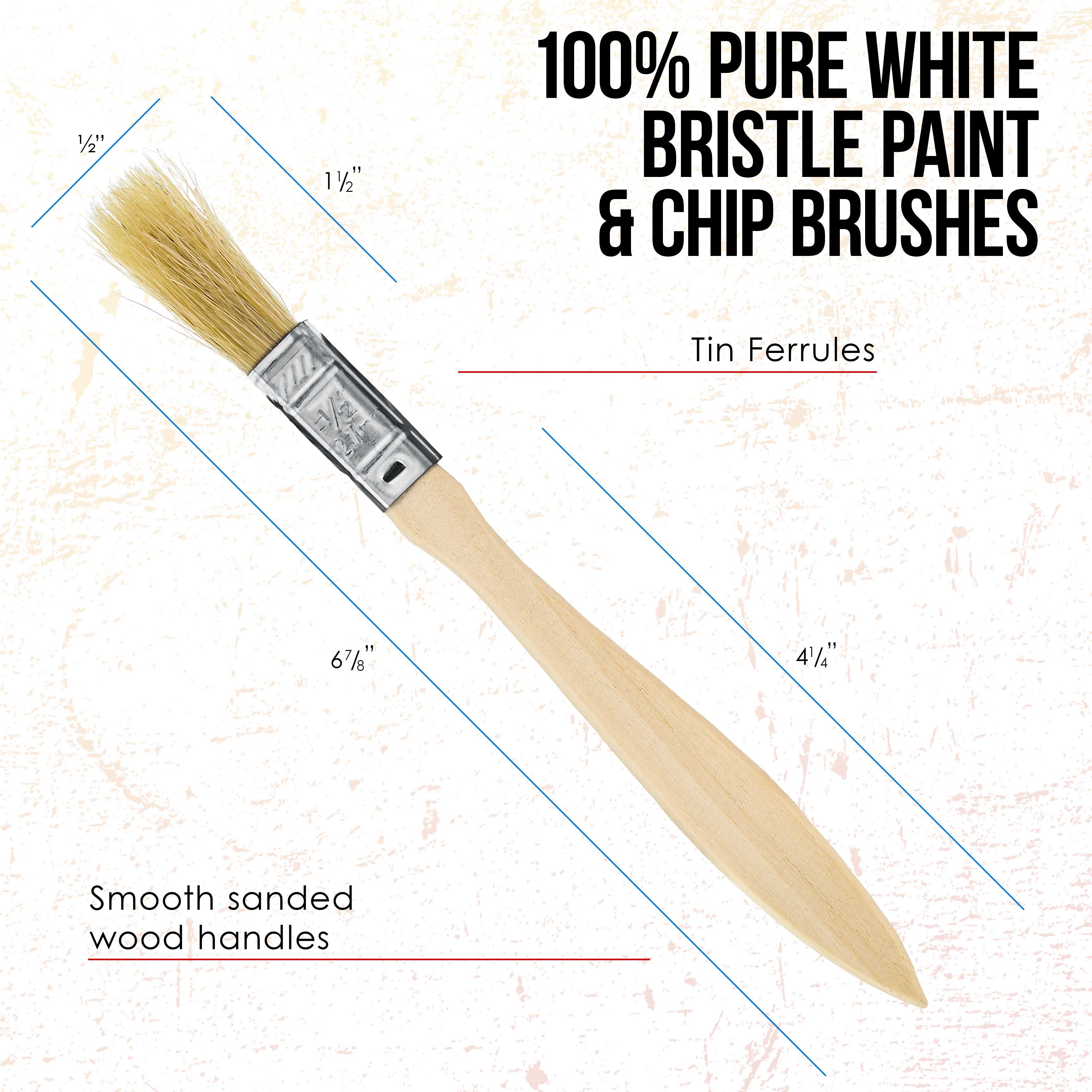 20 Pack Assorted Size Paint Brushes Set - Professional Chip Brushes for Paint, Stains, Varnishes, Glue & Gesso - Perfect for DIY Projects, Home Decor & Art Painting