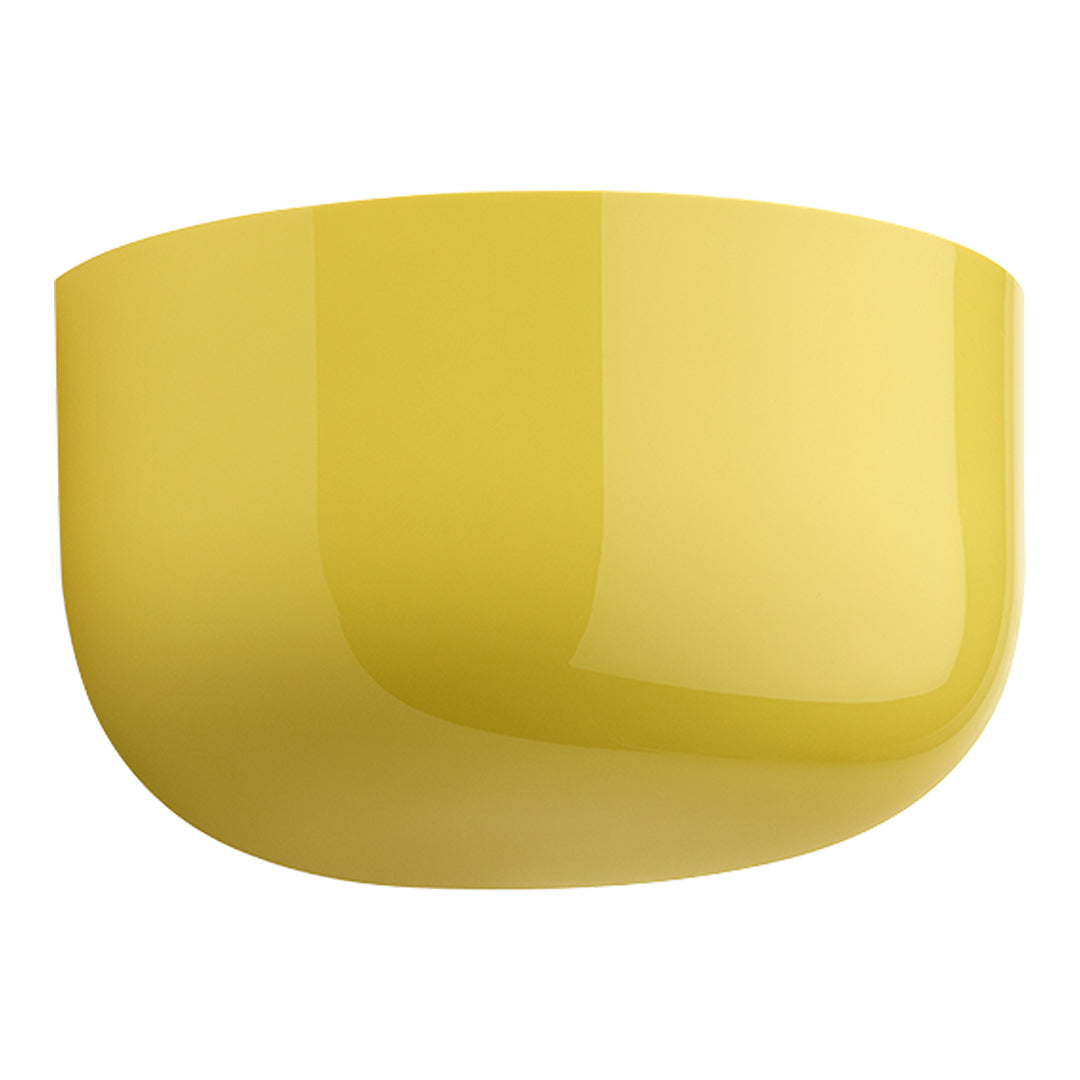 Yellow-Bellhop