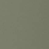 Flip 24 Can Olive Green