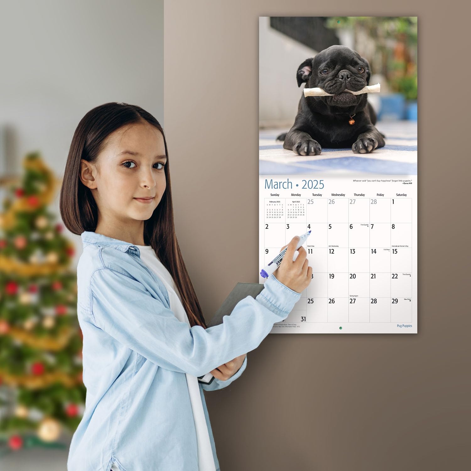 MICASA Pug Puppies 2025 Wall Calendar - 12 Month Large 12x24 Inch with Thick Sturdy Paper - Perfect Gift for Dog Lovers - Ideal for Home, Office, or Classroom Decor
