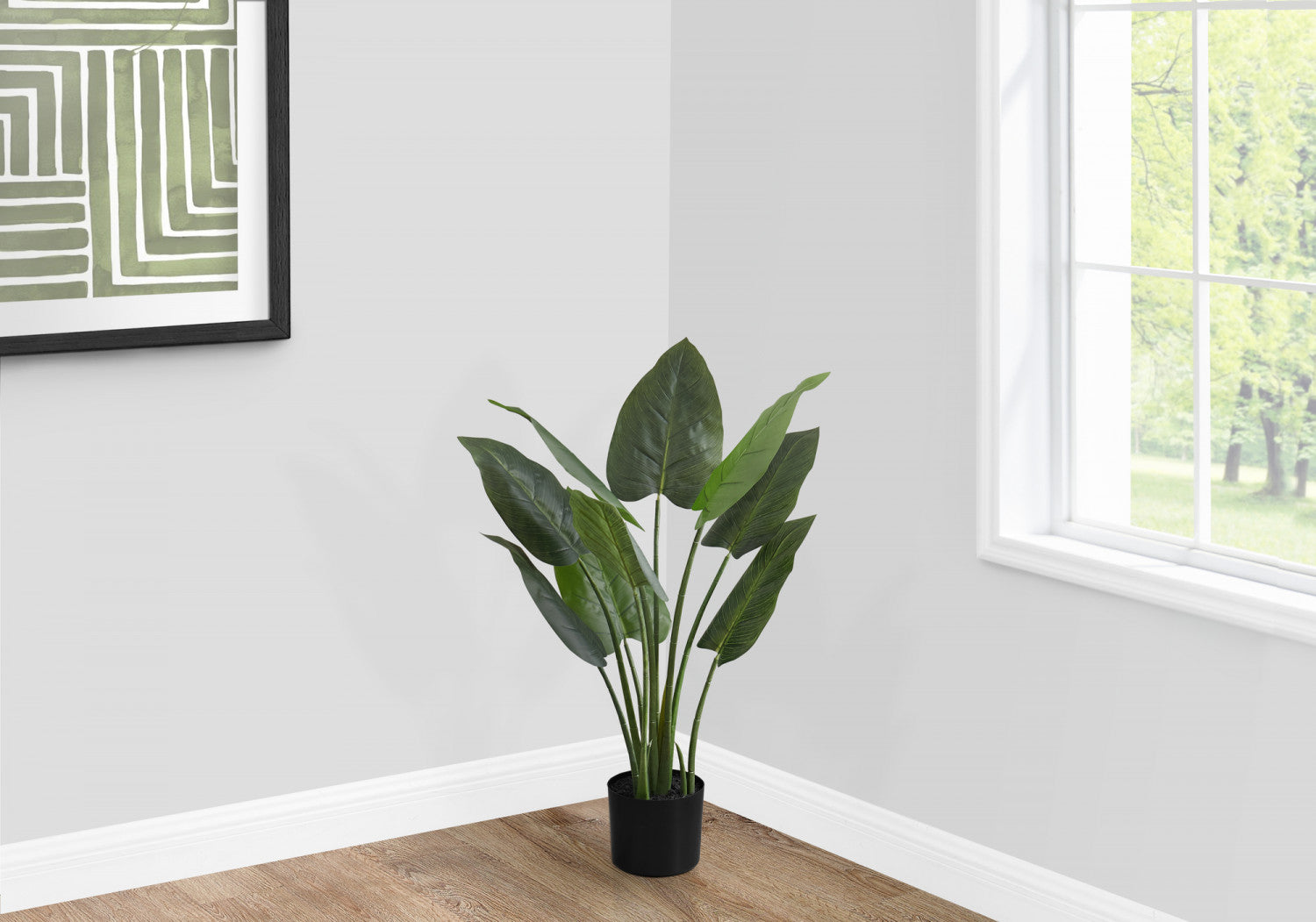 37 Aureum Pothos Plant in 5 Black Pots - Low Light Indoor Houseplant for Home, Office, or Bathroom Decor