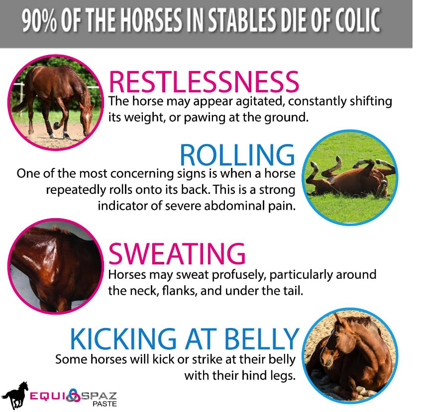 Saratoga Veterinary Horse Digestion Supplement - Fast-Acting Gas Relief & Colic Treatment for Horses (10 Packs) | Supports Digestive Health & Comfort During Training, Competition & Recovery