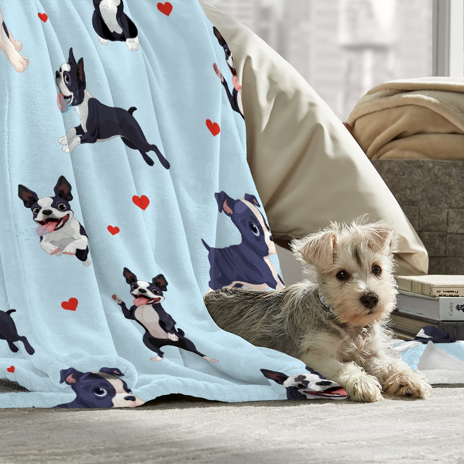 Boston Terrier Dog Blanket - Soft Fluffy Plush Throw for Couch, Bed & Travel
