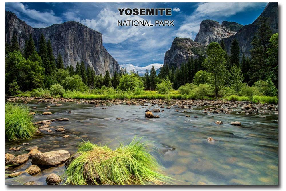 Yosemite National Park Souvenir Fridge Magnet - 2.5