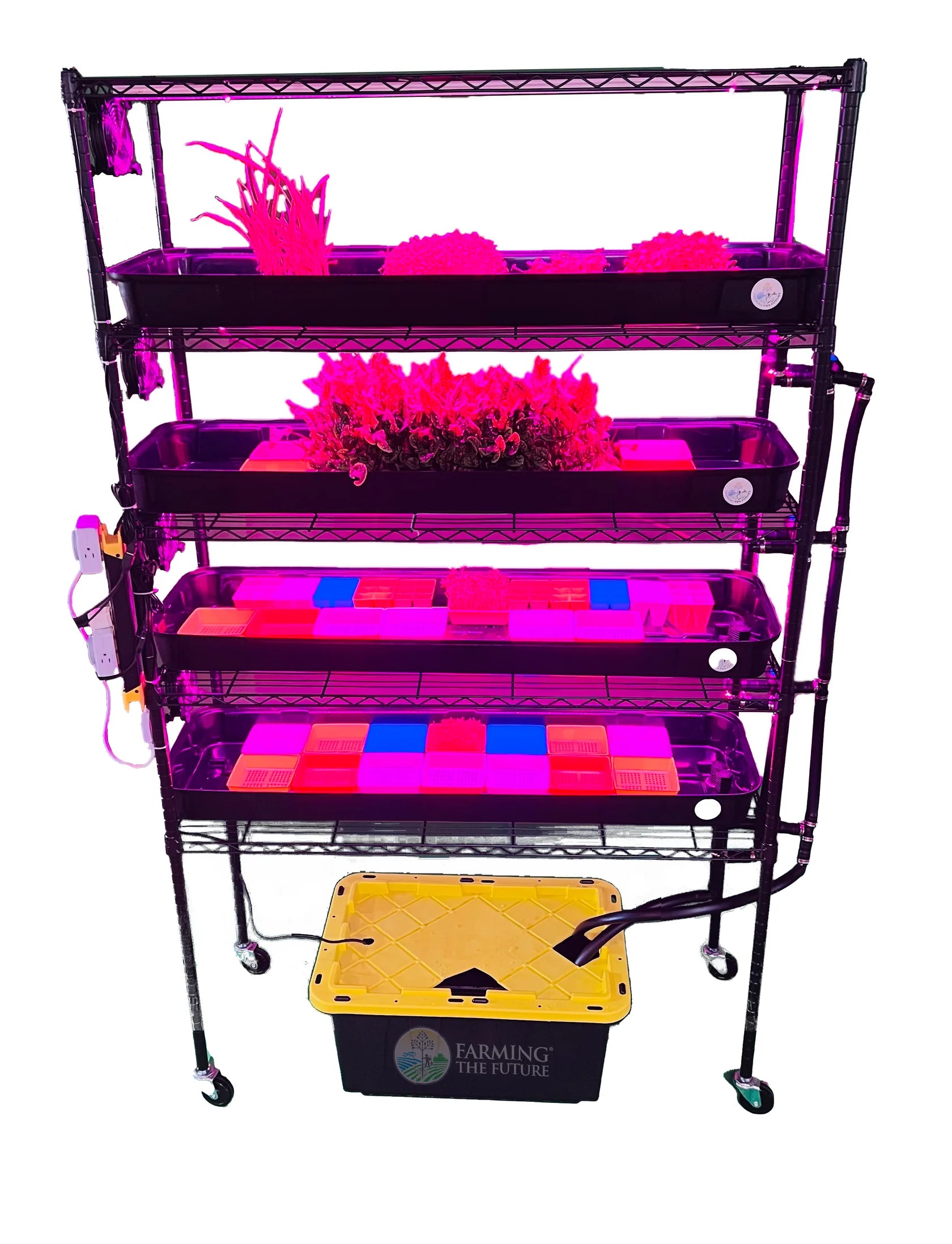 Hydroponic Grow Rack for School & Home - Compact Indoor Gardening System for STEM Education & Small Spaces | Perfect for Classrooms, Labs & Urban Farming