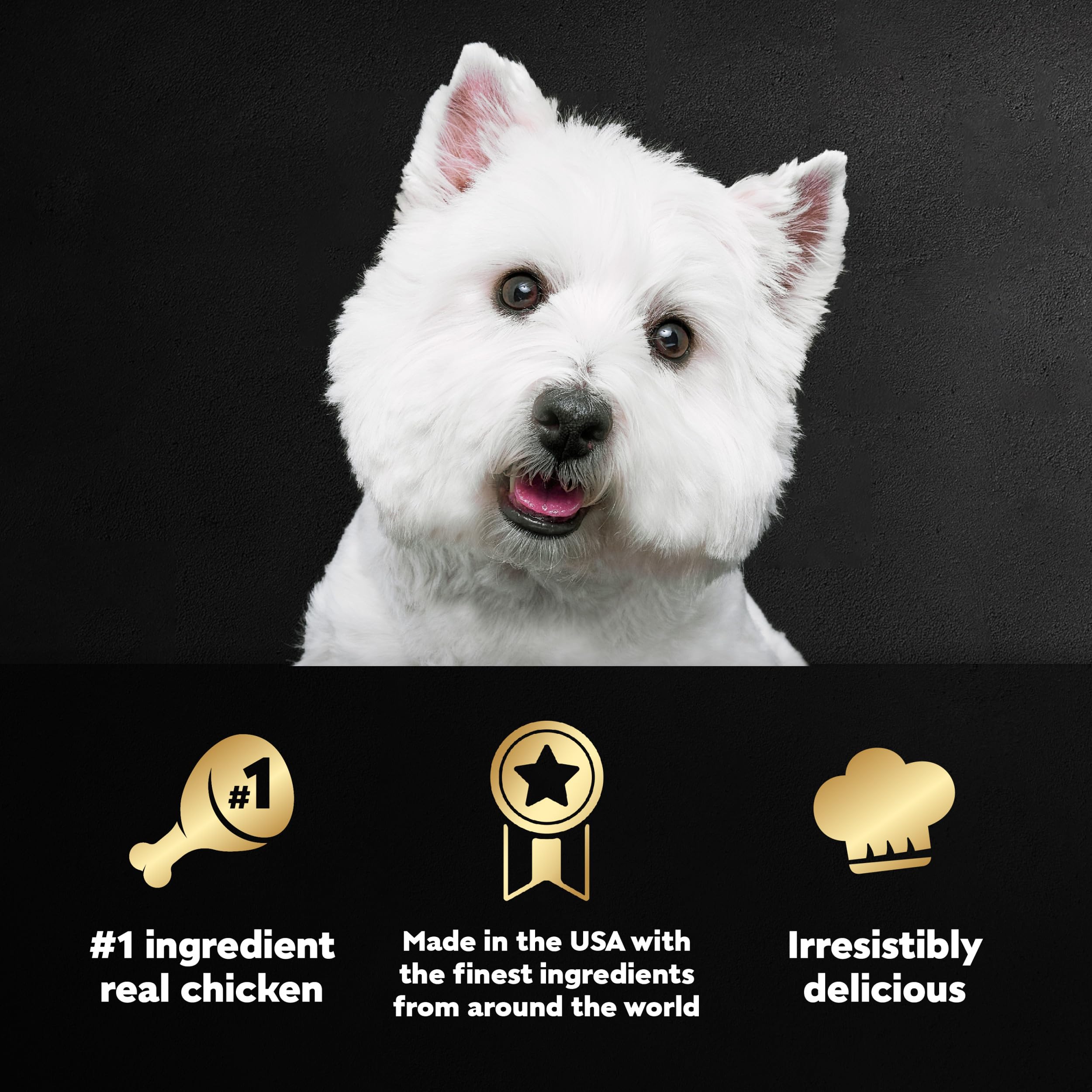Premium CESAR HOME DELIGHTS Adult Wet Dog Food - Slow Cooked Chicken & Vegetables in Savory Sauce, 3.5 oz Easy-Peel Trays (Pack of 24) | Perfect for Mealtime, Training Rewards & Senior Dogs