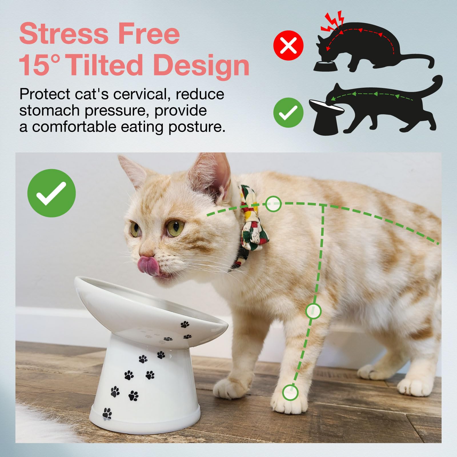 Necoichi Extra Wide Raised Cat Food Bowl - Elevated Stainless Steel Dish for Neck & Whisker Relief - Dishwasher & Microwave Safe - Japan's #1 Pet Bowl - Perfect for Senior Cats or Pets with Mobility Issues