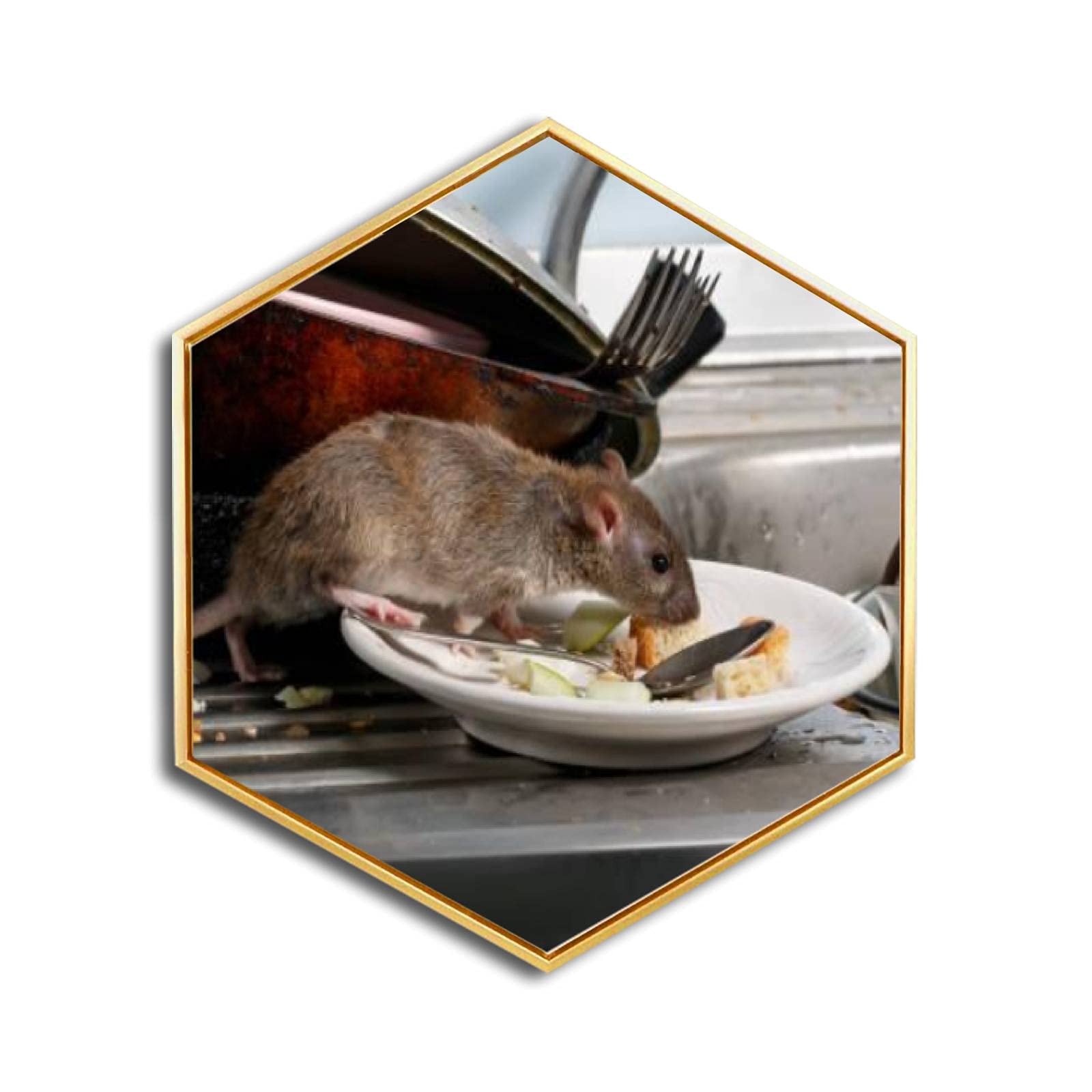 Hexagon Canvas Wall Art - Golden Framed Modern Giclee Painting Print of Kitchen Scene with Rats - Ready to Hang Home & Office Decor for Dining Room, Kitchen or Living Room