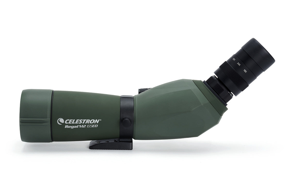 Celestron Regal M2 16-48x65mm ED Angled Zoom Spotting Scope - High Power Bird Watching & Target Shooting Telescope for Outdoor Enthusiasts