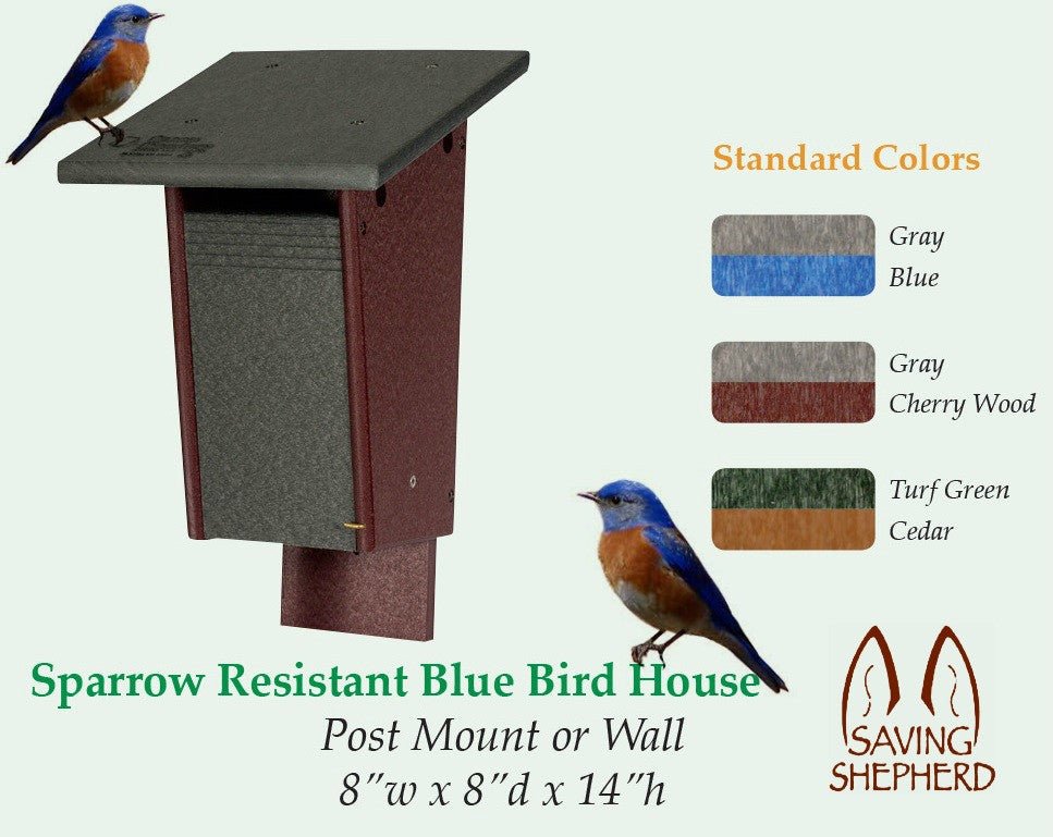 Eco-Friendly Sparrow-Resistant Bluebird House - 100% Recycled Poly, Amish Handmade in USA - Perfect for Backyard Birdwatching & Garden Decoration