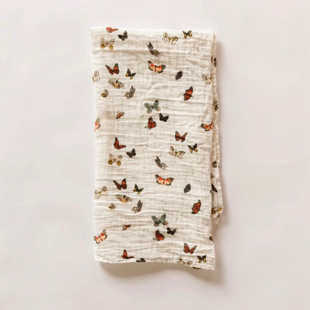Butterfly Migration