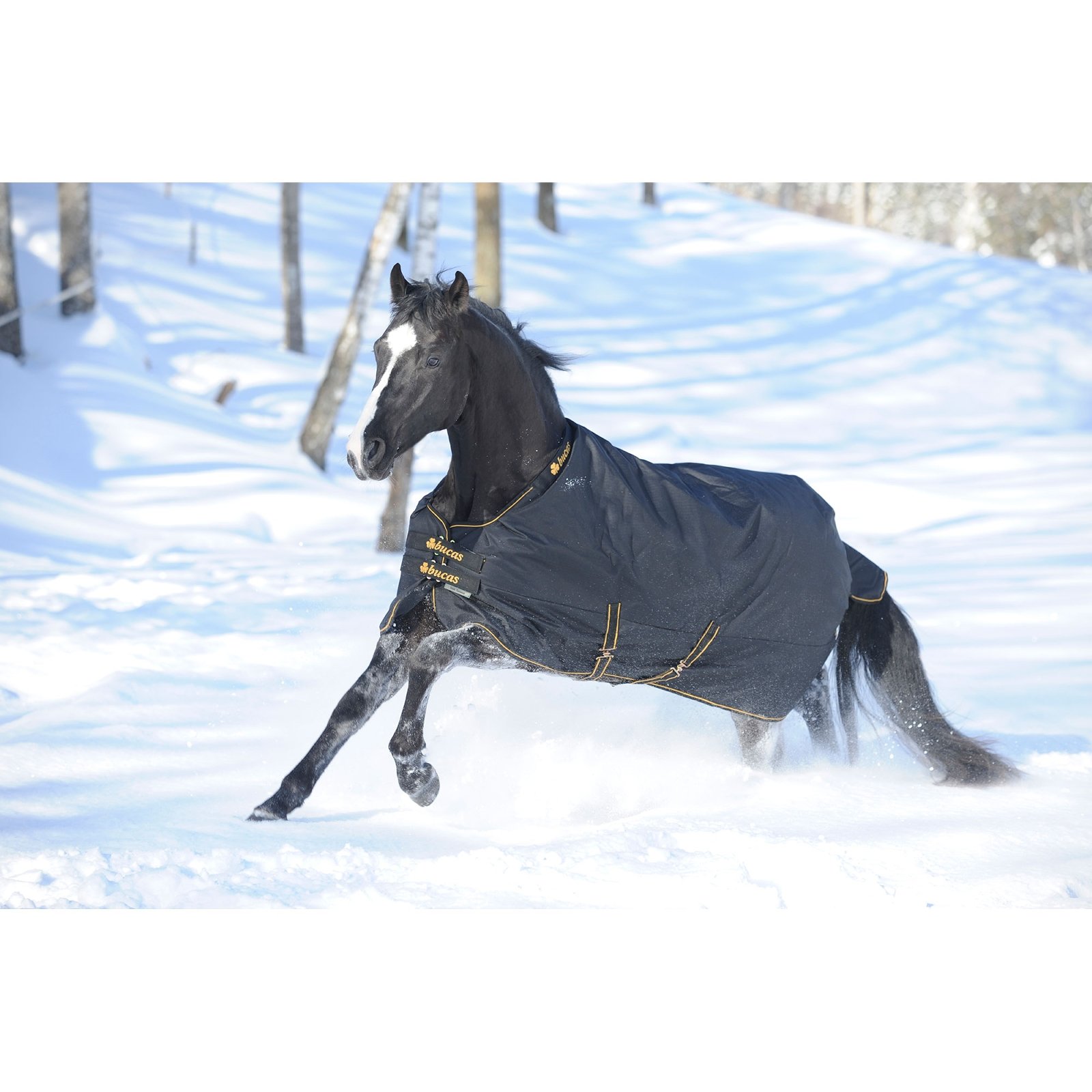 Premium Irish Turnout Blanket 300g – Heavyweight Horse Rug for Winter Warmth & Comfort – Ideal for Cold Weather Riding & Stable Use