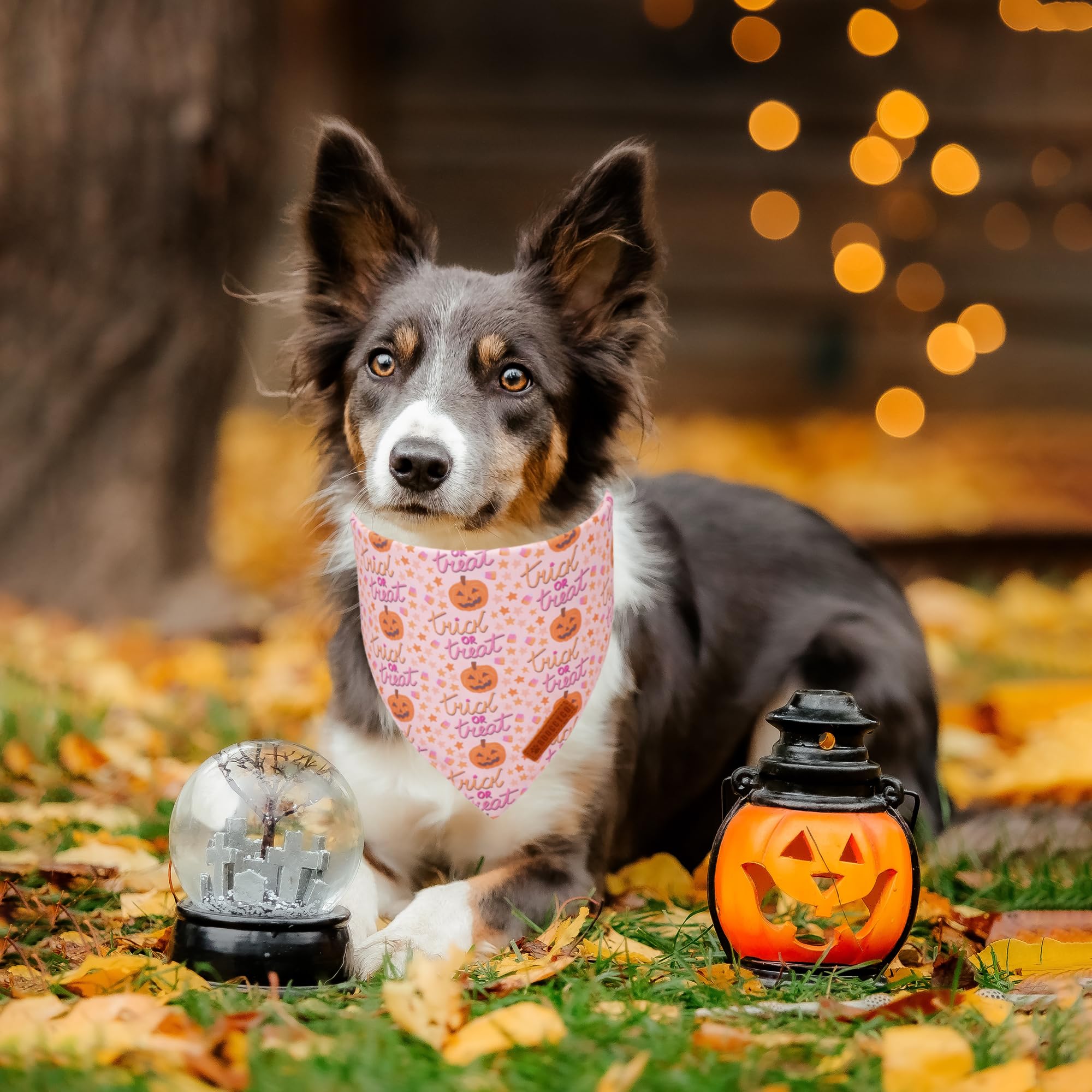ADOGGYGO Halloween Dog Bandana - Pink Pumpkin Ghost Scarf for Medium & Large Dogs | Adjustable Pet Bandana for Female Dogs | Perfect for Halloween Parties & Costume Events