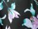Black Lavender Petal