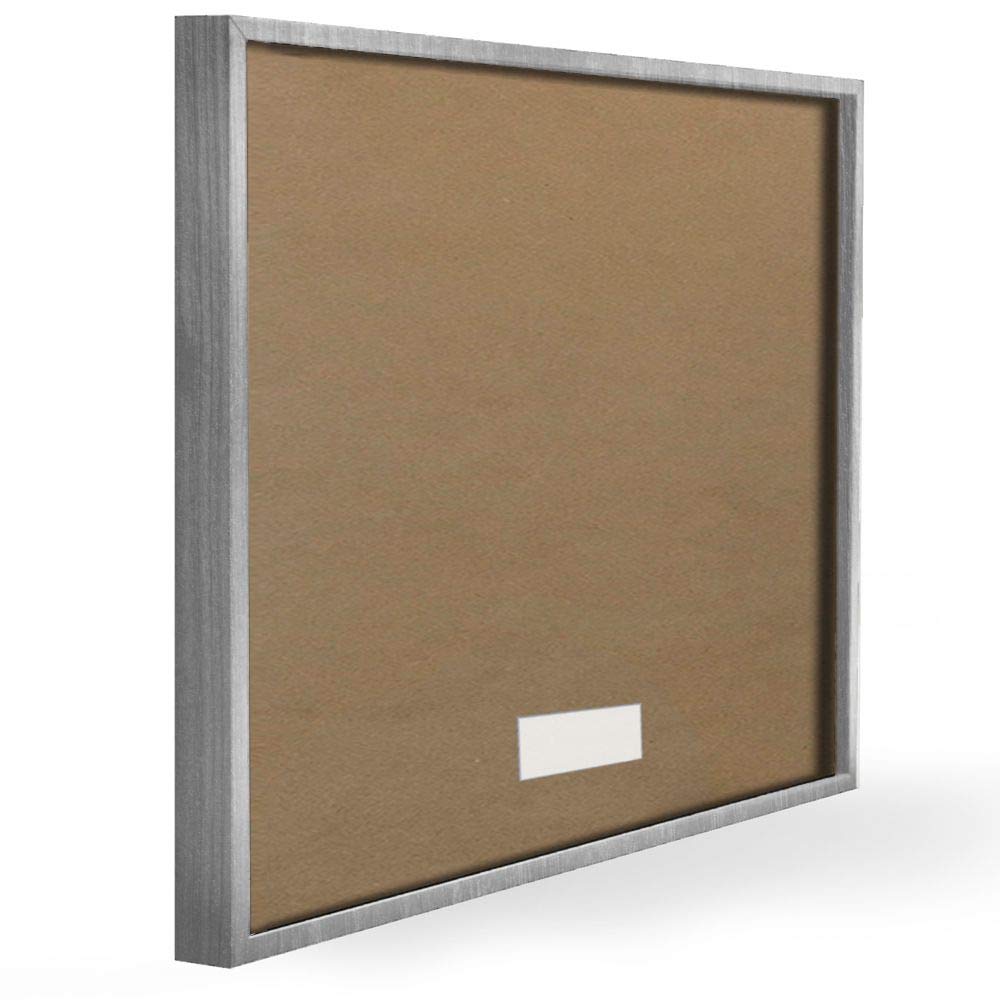 Stupell Industries White Floral Poppies Vines Indoor Modern Planter - Cindy Jacobs Grey Framed Wall Art 11