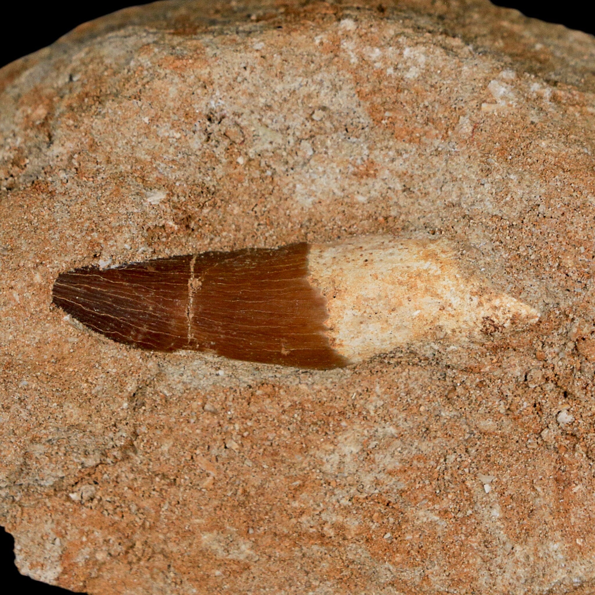 1.7