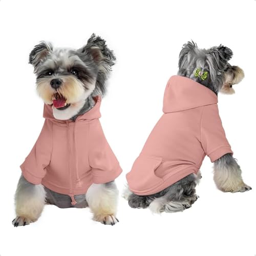 Rose Dog Hoodie
