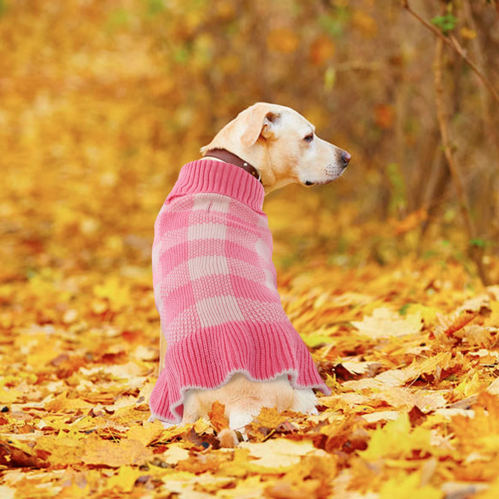QBLEEV Small Dog Sweaters - Warm Winter Puppy Pullover with Turtleneck & Leash Hole | Cozy Christmas Pet Sweater Dress for Small Dogs (XS) | Perfect for Fall & Winter Outfits, Holiday Photos, and Daily Walks
