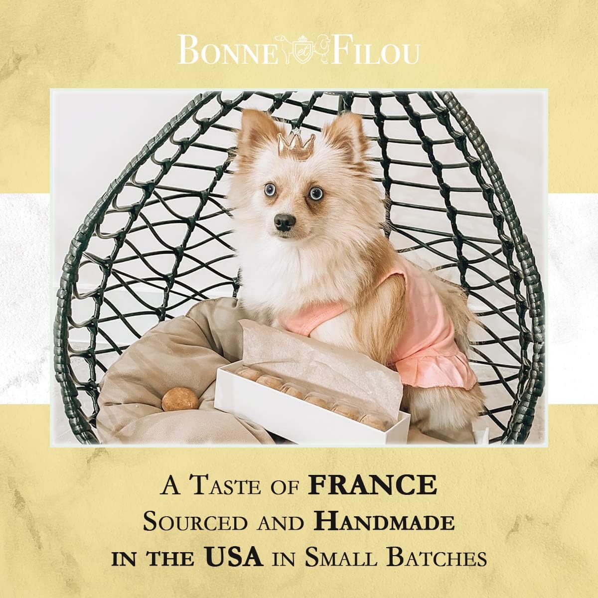 Bonne et Filou Gourmet Dog Treats - Creme Brulee Cupcakes & Macaron Cakes, Healthy Human-Grade Dog Snacks (6 Count) - Perfect for Training Rewards & Special Occasions
