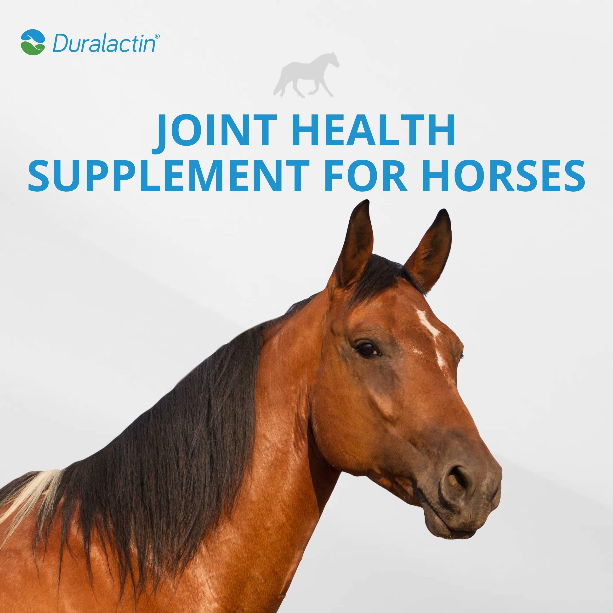 PRN Pharmacal Duralactin Equine Joint Plus Pellets - 3.75 lb Horse Joint Supplement for Healthy Cartilage & Mobility | Supports Joint Function & Soreness Relief | Ideal for Performance Horses & Senior Equine Care