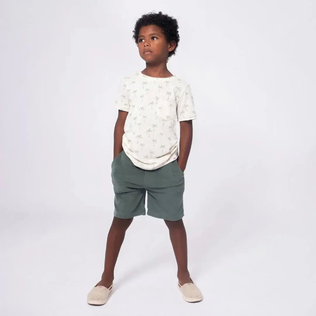 Appaman Terry Shorts for Men - Comfortable Sage Green Cotton Shorts for Summer, Casual Wear & Beach Outings