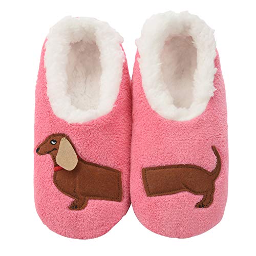 Dachshund