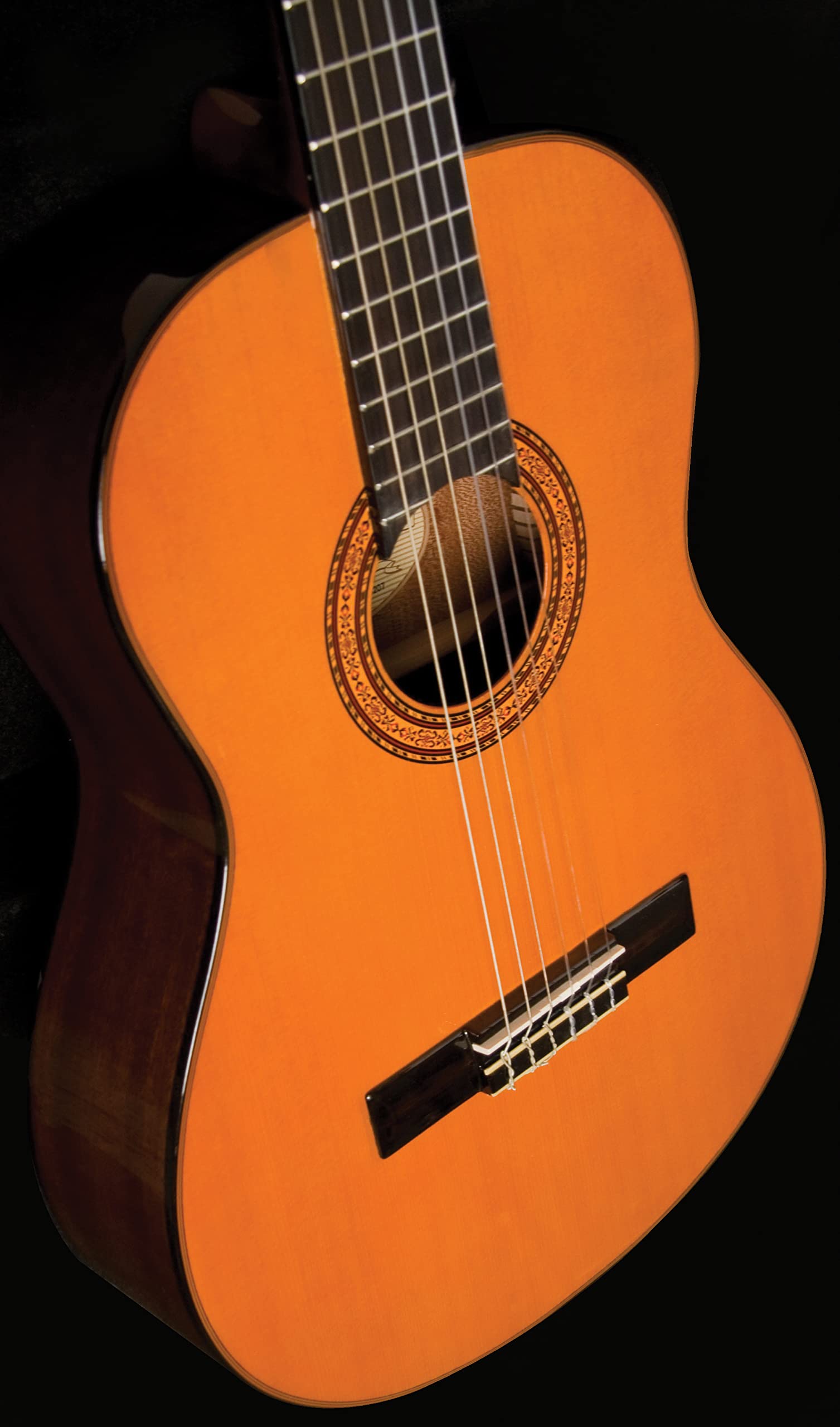 Washburn C5 Classical Acoustic Guitar - Nylon String Guitar for Beginners & Professionals, Perfect for Home Practice, Performances & Music Lessons