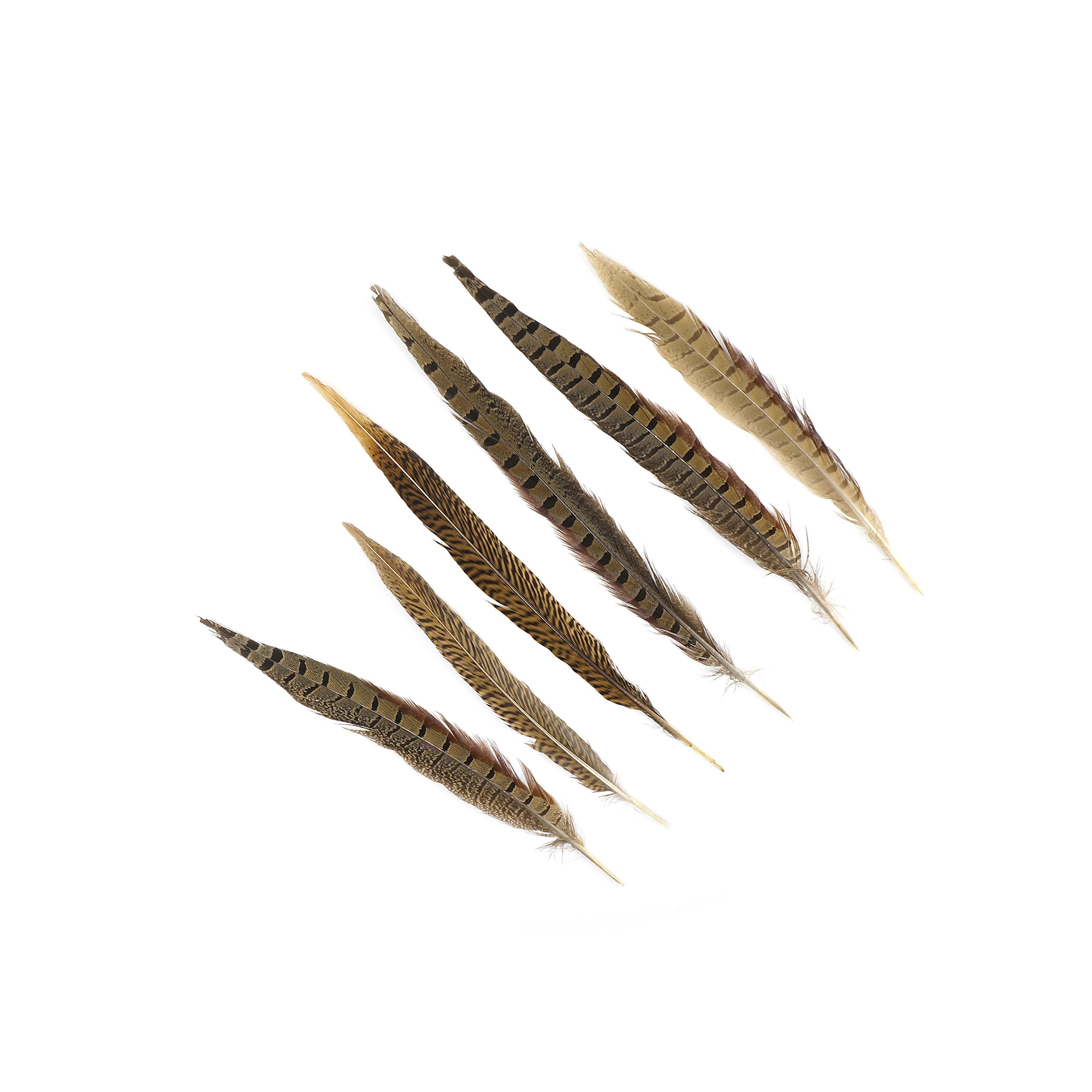 ZUCKER Pheasant Tail Feathers 8-14