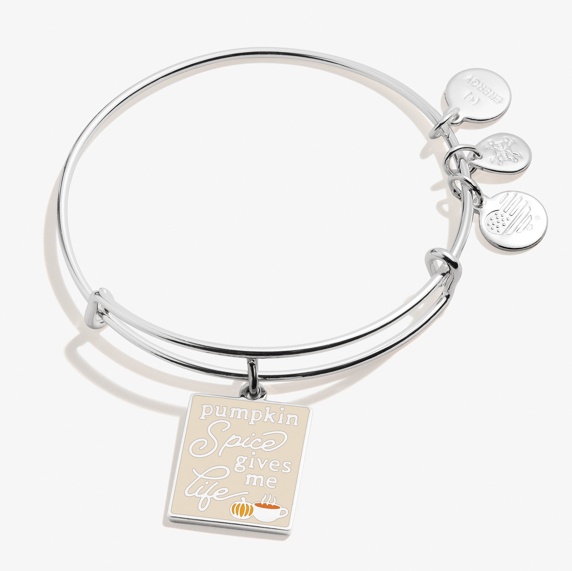 Pumpkin Spice Charm Bangle Bracelet - Cute Dainty Jewelry for Women, Trendy Fall Fashion Accessory - Perfect for Thanksgiving, Halloween, and Autumn Outfits
